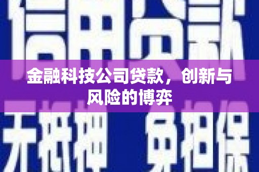 新园金融科技公司贷款，创新与风险的博弈