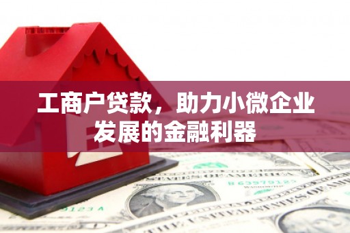 新园工商户贷款，助力小微企业发展的金融利器