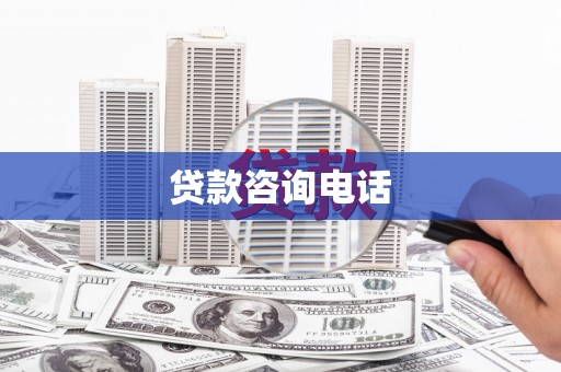 新园贷款咨询电话