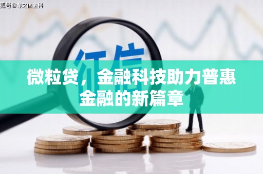新园微粒贷，金融科技助力普惠金融的新篇章
