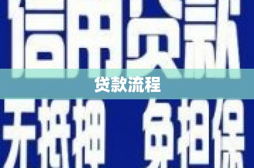 新园贷款流程