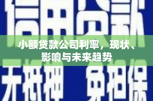 新园小额贷款公司利率，现状、影响与未来趋势