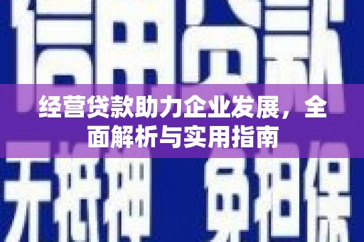新园经营贷款助力企业发展，全面解析与实用指南