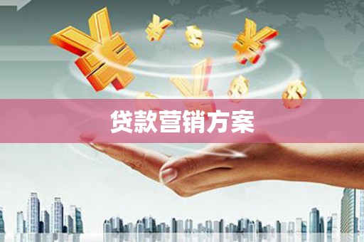 新园贷款营销方案