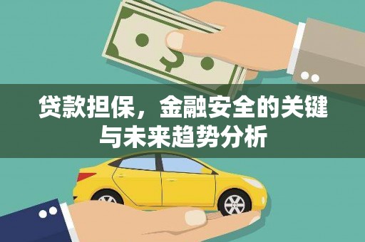 新园贷款担保，金融安全的关键与未来趋势分析