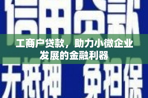 新园工商户贷款，助力小微企业发展的金融利器