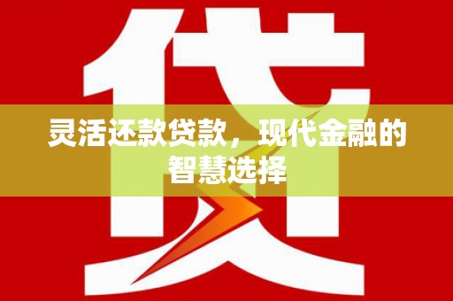 新园灵活还款贷款，现代金融的智慧选择