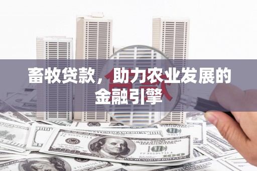 新园畜牧贷款，助力农业发展的金融引擎