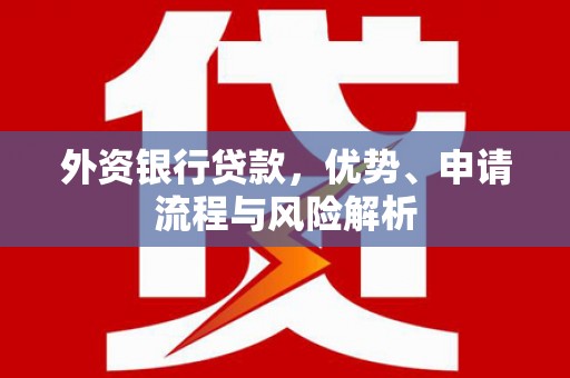 新园外资银行贷款，优势、申请流程与风险解析