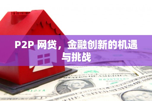 新园P2P 网贷，金融创新的机遇与挑战