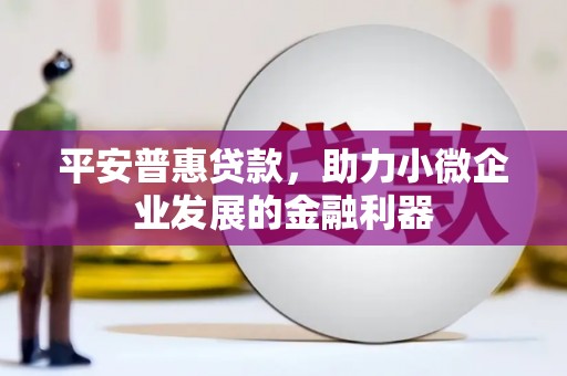 新园平安普惠贷款，助力小微企业发展的金融利器