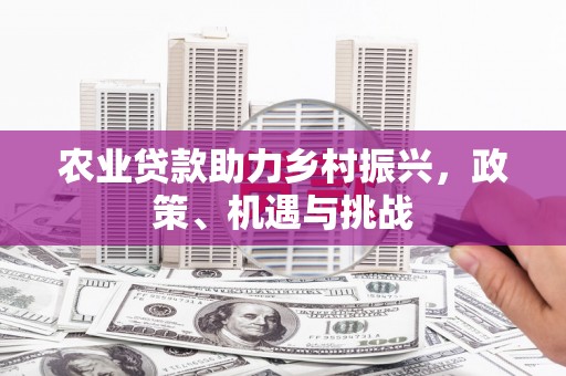 新园农业贷款助力乡村振兴，政策、机遇与挑战
