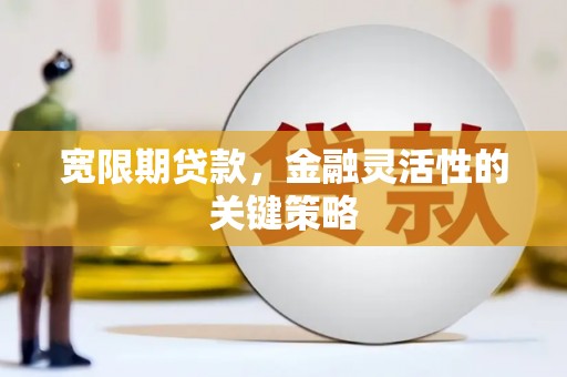新园宽限期贷款，金融灵活性的关键策略