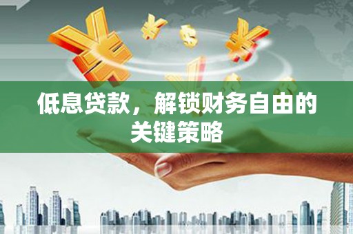 新园低息贷款，解锁财务自由的关键策略
