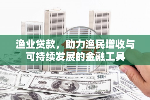 新园渔业贷款，助力渔民增收与可持续发展的金融工具
