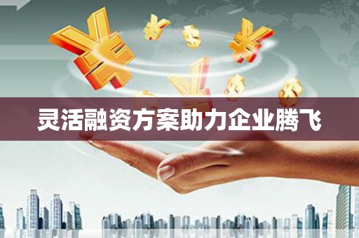 新园灵活融资方案助力企业腾飞
