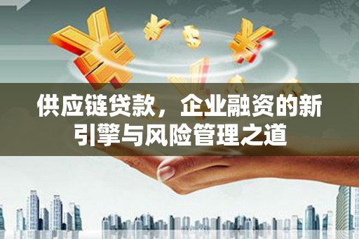 新园供应链贷款，企业融资的新引擎与风险管理之道