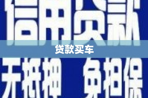 新园贷款买车