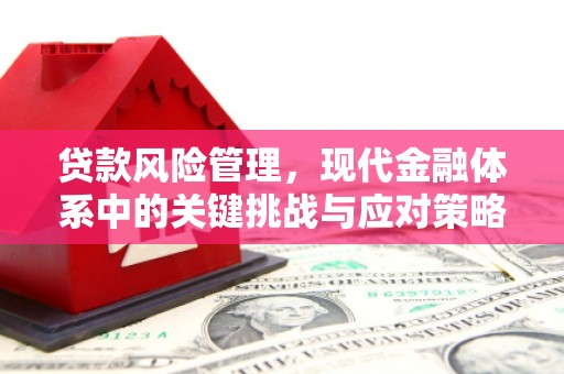 新园贷款风险管理，现代金融体系中的关键挑战与应对策略