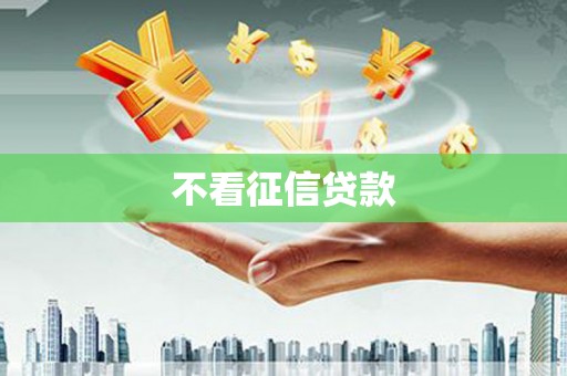 新园不看征信贷款