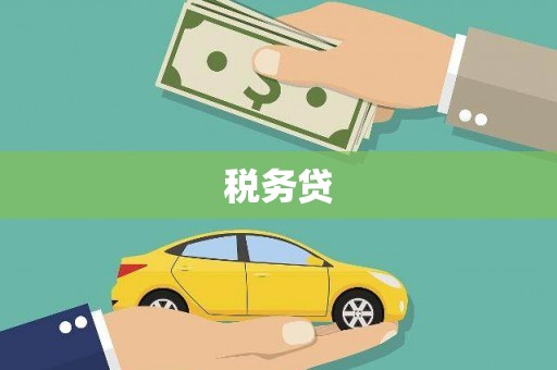新园税务贷