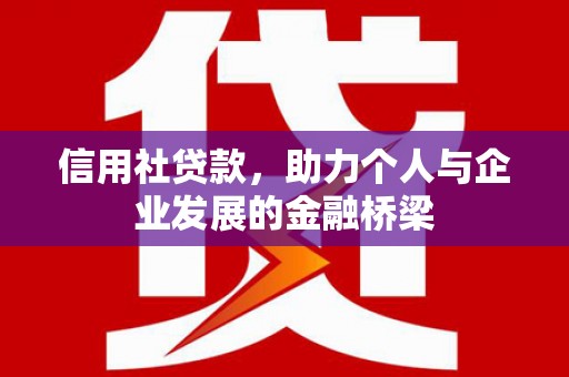 新园信用社贷款，助力个人与企业发展的金融桥梁