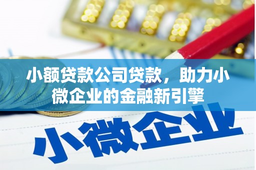 新园小额贷款公司贷款，助力小微企业的金融新引擎