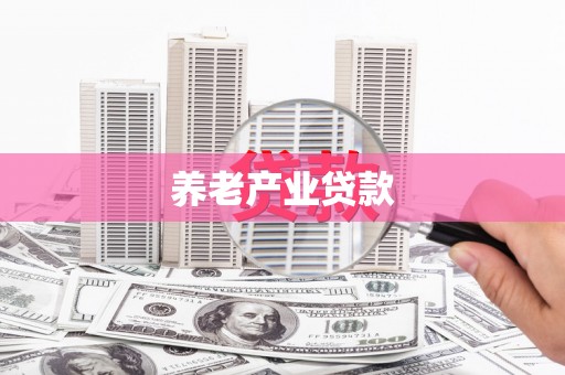 新园养老产业贷款