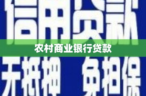 新园农村商业银行贷款