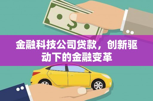 新园金融科技公司贷款，创新驱动下的金融变革