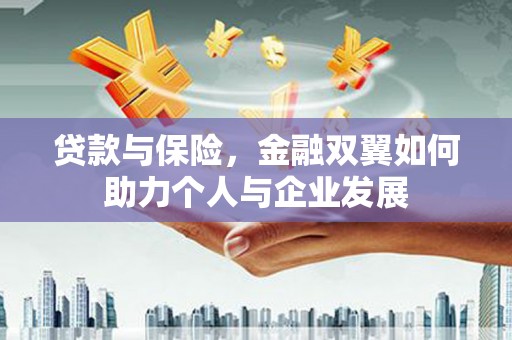 新园贷款与保险，金融双翼如何助力个人与企业发展