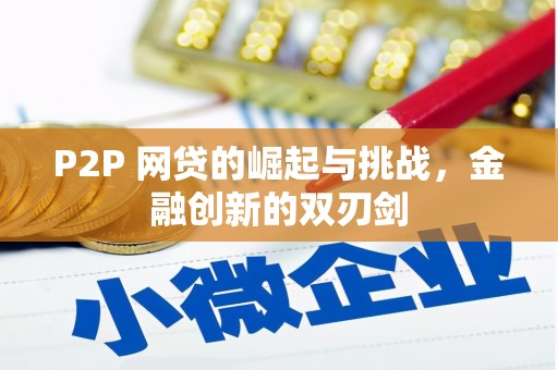 新园P2P 网贷的崛起与挑战，金融创新的双刃剑