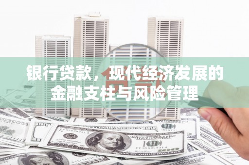 新园银行贷款，现代经济发展的金融支柱与风险管理