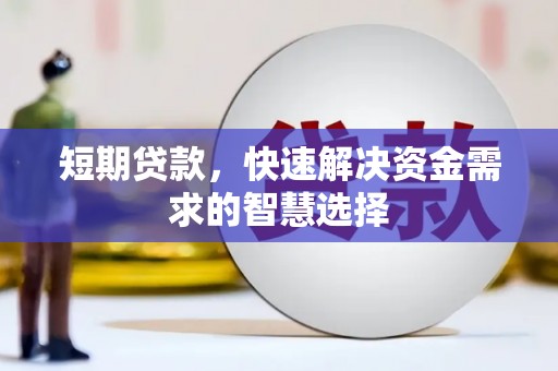 新园短期贷款，快速解决资金需求的智慧选择