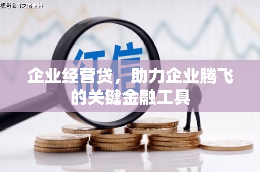 新园企业经营贷，助力企业腾飞的关键金融工具