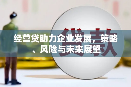 新园经营贷助力企业发展，策略、风险与未来展望