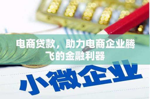 新园电商贷款，助力电商企业腾飞的金融利器