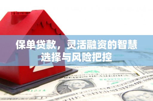 新园保单贷款，灵活融资的智慧选择与风险把控