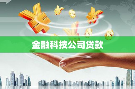新园金融科技公司贷款