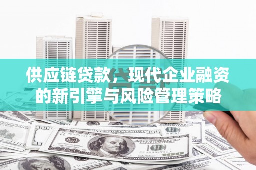 新园供应链贷款，现代企业融资的新引擎与风险管理策略