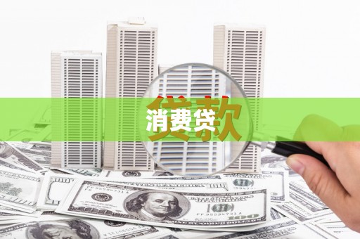 新园消费贷