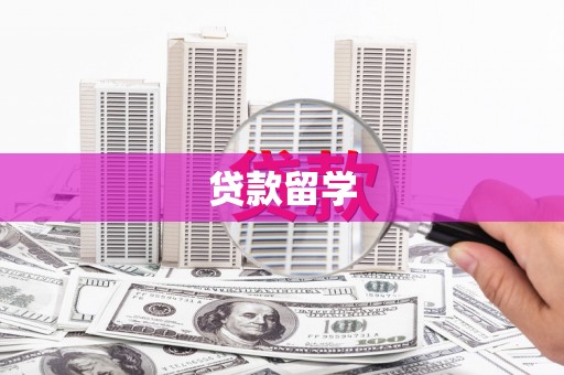 新园贷款留学