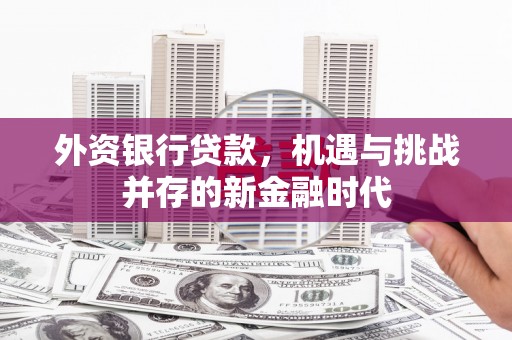 新园外资银行贷款，机遇与挑战并存的新金融时代