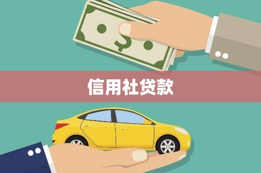 新园信用社贷款