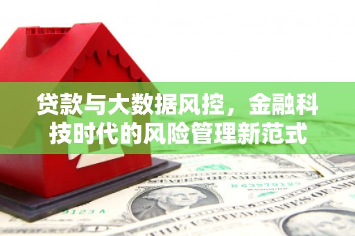 新园贷款与大数据风控，金融科技时代的风险管理新范式
