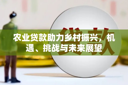 新园农业贷款助力乡村振兴，机遇、挑战与未来展望