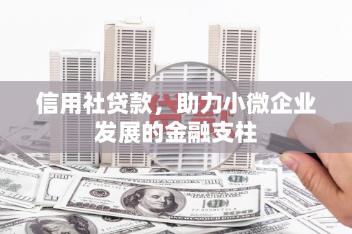 新园信用社贷款，助力小微企业发展的金融支柱