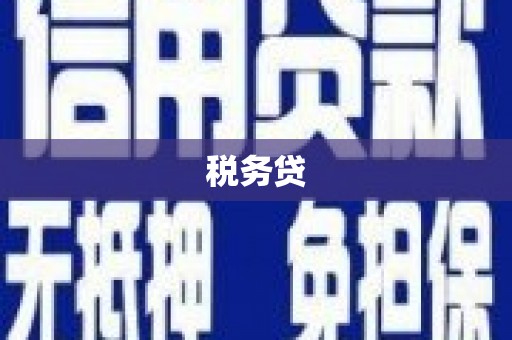 新园税务贷