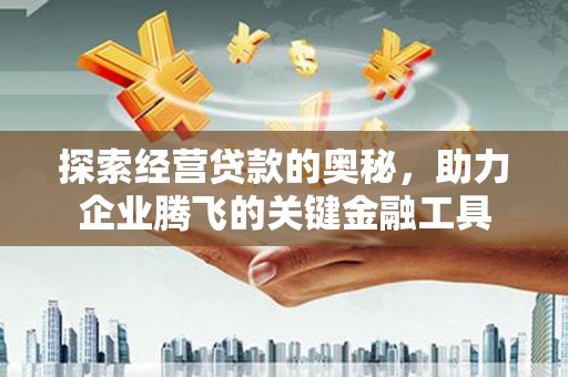 新园探索经营贷款的奥秘，助力企业腾飞的关键金融工具