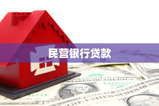 新园民营银行贷款